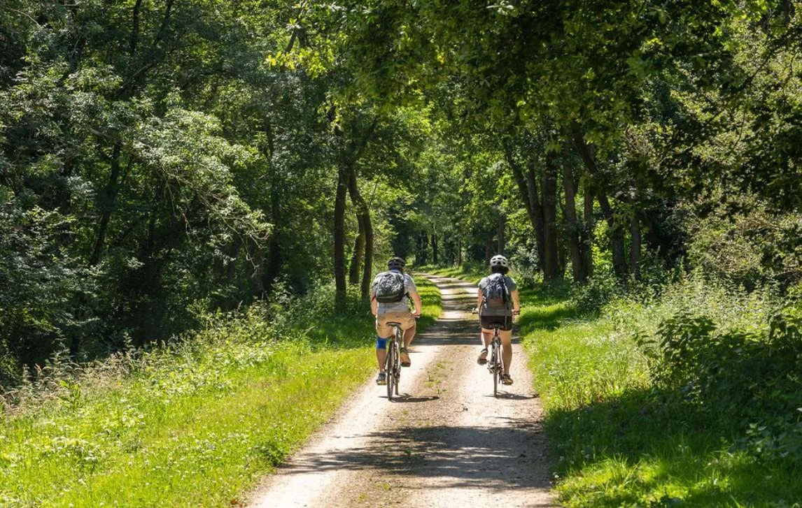 Cycling through Villages