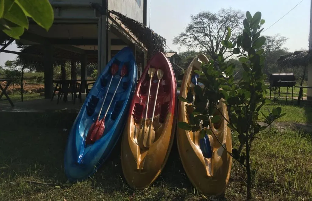 Kayaks ready for a Lake 10 nature experience